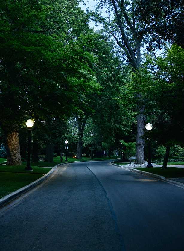 Tree-lined path, Summerhill
